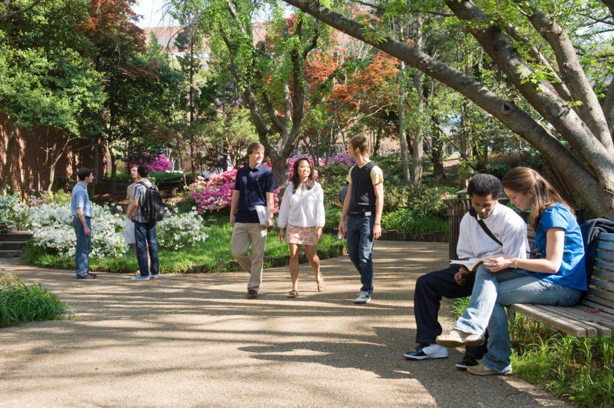 A crowd in a park, photo